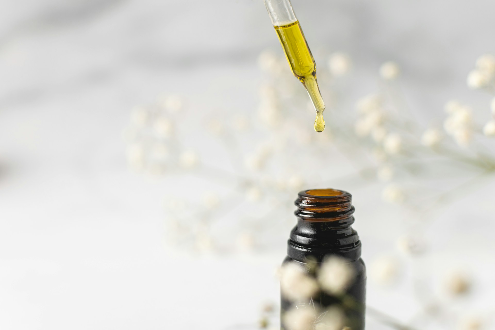 No low quality seed oils